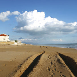 VENUDUMARI